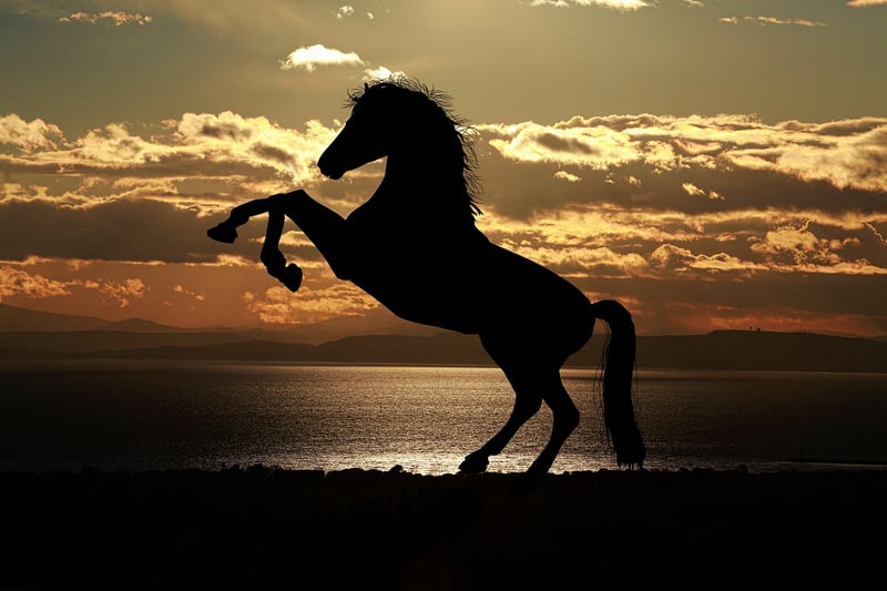 Silhouette representing moral considerations and temporal responsibility